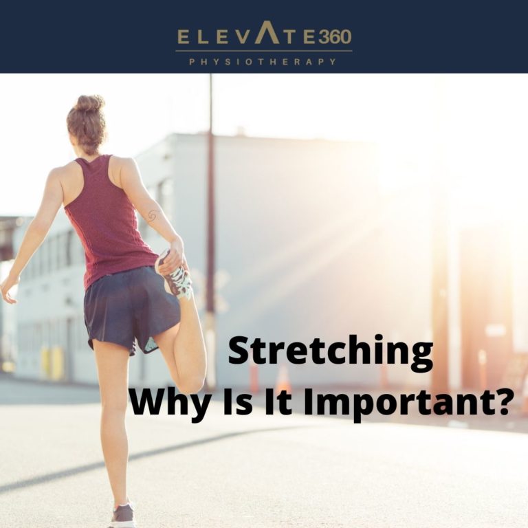 Really Stretch Why Is Stretching Important | Stretching Routine for Singers: Why & How ...